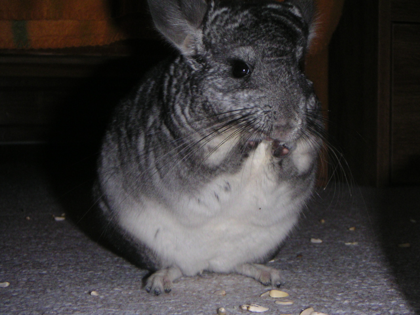 PICT0200.jpg